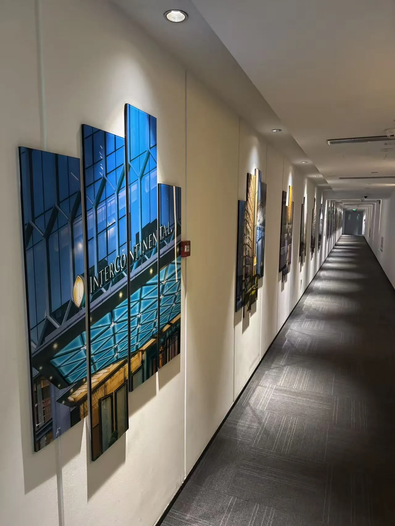 河北广安艺术展示制作 酒店亚克力艺术展示墙